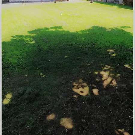 Nikos House אספרובלטה